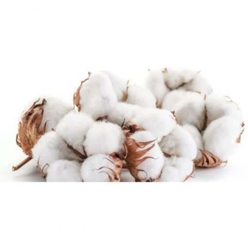 where to buy raw cotton