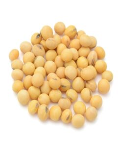 soybean products