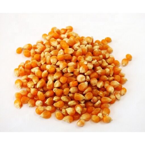 yellow corn price per ton